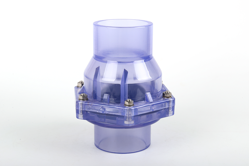 建湖透明翻板式止回阀